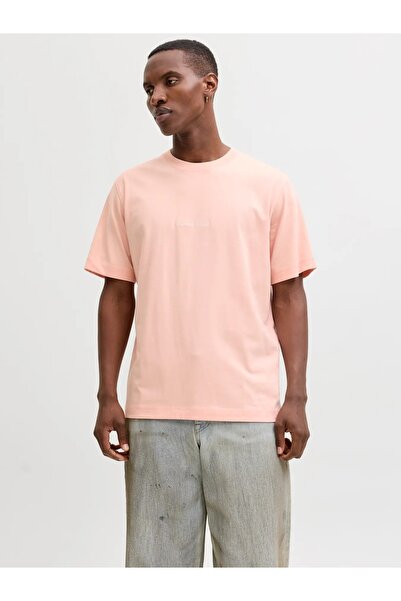 Jack & Jones Jack&Jones Jornorrebro Emb Tee Ss Muška T-shirt 12282892