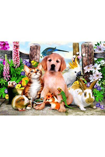 Bluebird Puzzle 500 pieces Puzzle - Good Companions (Bluebird-Puzzle-F-90127)