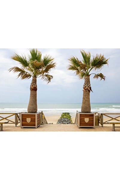 Bluebird Puzzle 1000 pieces - Plage de Lacanau, France (Bluebird-Puzzle-F-90484)