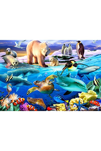Bluebird Puzzle 1000 pieces Puzzle - Oceans of Life (Bluebird-Puzzle-F-90235)
