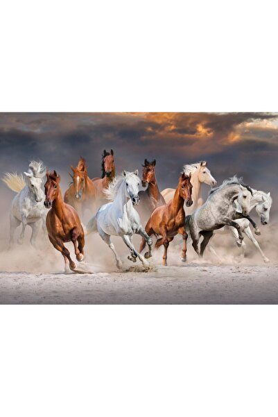 Bluebird Puzzle 1000 pieces Puzzle - The Horse Race (Bluebird-Puzzle-F-90283)