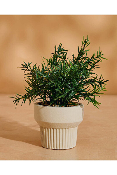 REDTAG Green Artificial Rosemary with Planter