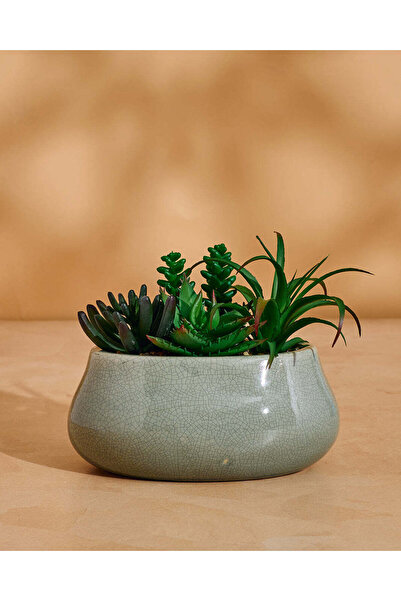 REDTAG Green Artificial Succulent with Ceramic Pot