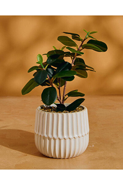 REDTAG نبتة اصطناعية في وعاء سيراميك أبيض