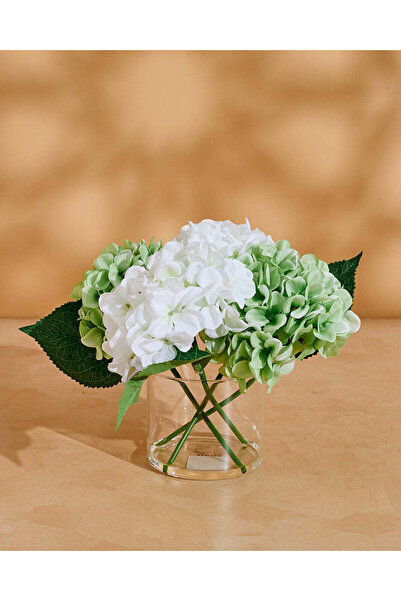 REDTAG White and Green Hydrangea in Glass Vase
