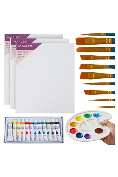 Maaleo Σετ Ζωγραφικής – Πλήρες Κιτ Ζωγραφικής με Ακρυλικά, Πινέλα, Καμβάδες κ...