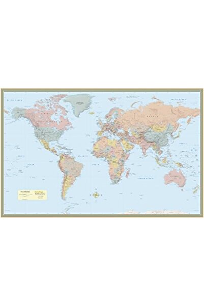 BarCharts World Map Poster (32 X 50 Inches) - Laminated: A Quickstudy Referen...