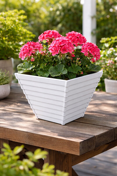 Binbirreyon Saksı Piramit Çiçek Saksısı 1,2Lt 13x13x12cm Renkli AH162