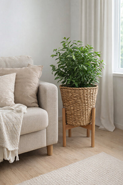 ADA Ahşap oyma ve çerçevecilik Hasır Saksı Standlı