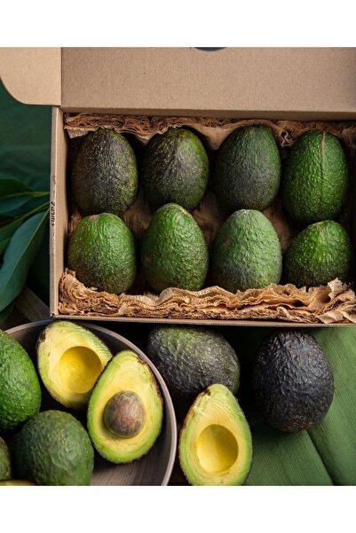 Tropik Dükkanım Dalından Taze Hass Avokado 1Kg