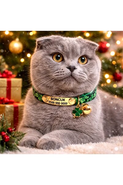 Ayz Markalama Sabit künyeli isimli kedi tasması, güvenlik kilitli kedi tasmas...