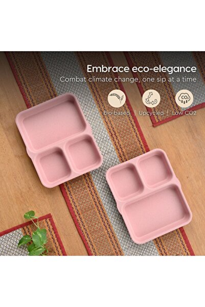 REuse 3 Compartment Reusable Plate 8 Inch | 1 Piece | Coffee Husk | Turkish Pink