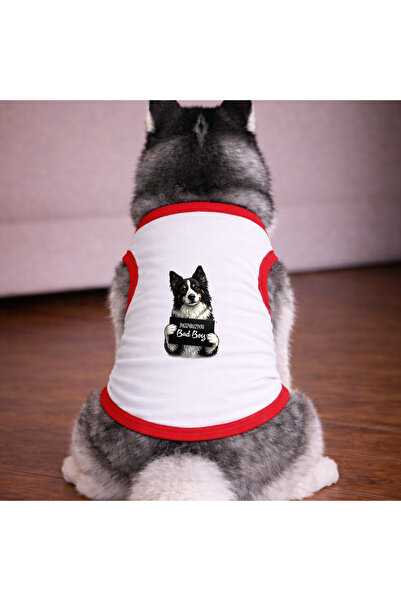 petite pati White Wanted Border Collie Tshirt Dog Apparel (100% Cotton Combed...
