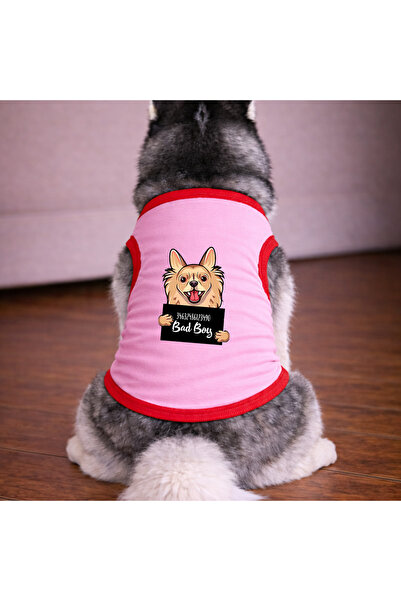 petite pati Pink Wanted Chihuahua Dog Tshirt Dog Outfit (100% Cotton Combed C...