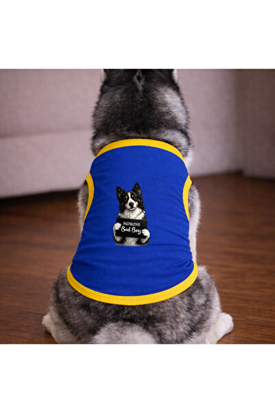 petite pati Mavi Wanted Border Dog Tshirt Dog Outfit (100% Cotton Combed Cott...