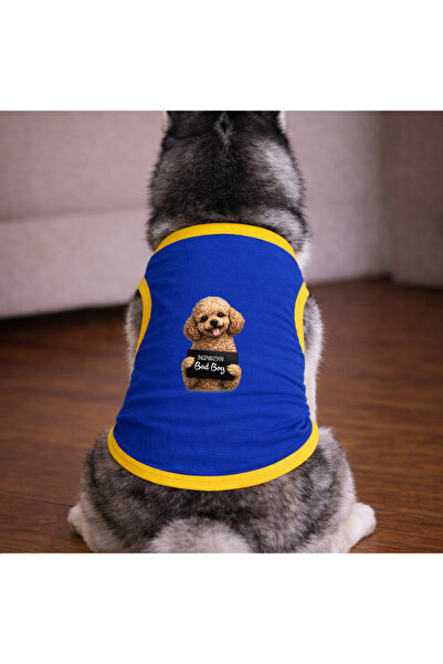 petite pati تي شيرت أزرق اللون للكلاب من نوع وانتد بودل (100% قطن ممشط قطن%) ...