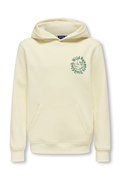 Only & Sons Kapuzenpullover OSJDANIEL Sweatshirt
