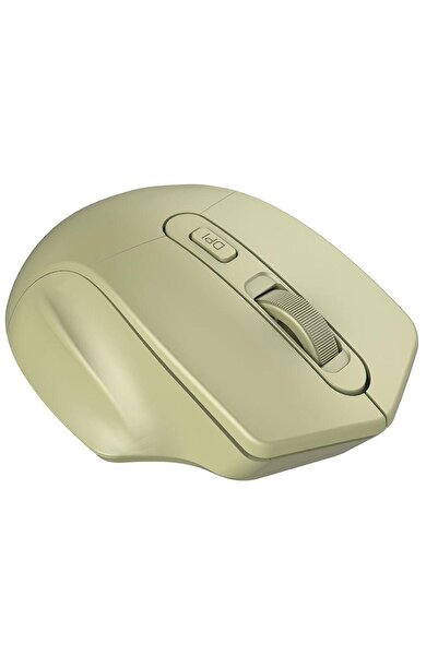 CANYON Mouse Optic Wireless CNE-CMSW15GO, 1600DPI (Auriu)
