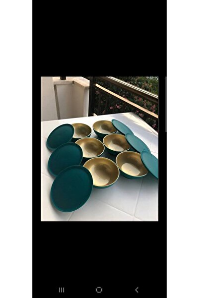 Tupperware Berrak Kase