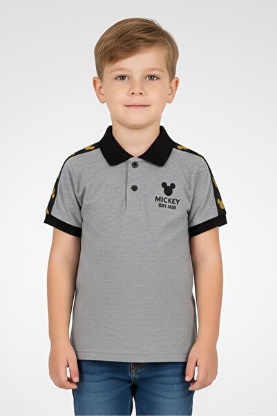 Disney x Micky Mouse Toddlers Boy Short Sleeve Embroidered Logo Polo Shirt, D...