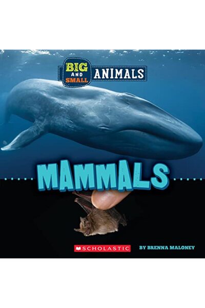 Scholastic Us Big And Small: Mammals (Wild World)