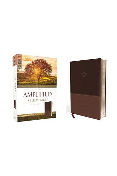 Zondervan الكتاب المقدس الدراسي الموسع، غلاف جلدي ناعم، بني