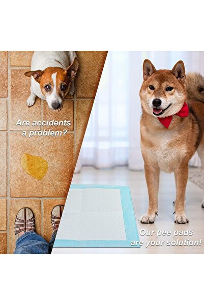 TELAL AL SHIFA 60 Cm X 90Cm 20 pcs Pet Training Pads And Puppy Pads Super Absorbent.