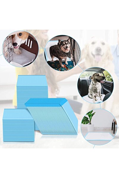 TELAL AL SHIFA 60 سم × 90 سم، 20 قطعة من فوط تدريب الحيوانات الأليفة وفوط الج...