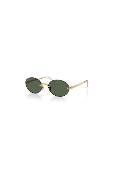 Ray-Ban RAYBAN 3929 001/71 54