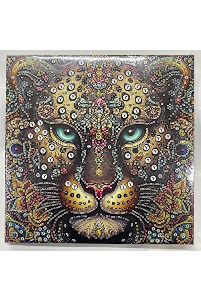EleganTShoP Tuval 5D Yapışan Boncuk Mozaik Tablo 25*25 cm YY87