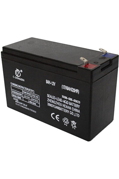 elefant Baterie de 12 V pentru pompă de pulverizare,