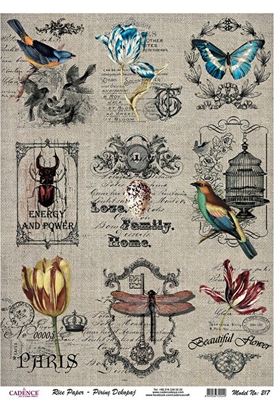 Cadence Brass Decorative Paper 29X42Cm No:Cd217