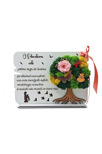OEM Tablou cu licheni naturali stabilizați și fundă, Cadou special pentru Educatoare, decor handmade