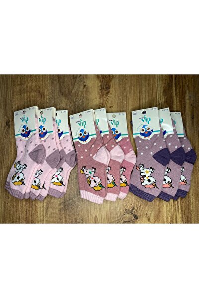 Çocuk İşleri 9 Çift 2,3 Yaş Pamuklu Kışlık Kalın Havlu Kız Bebek Soket Çorap