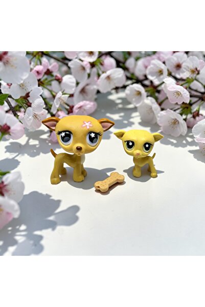 Littlest Pet Shop Lps miniş