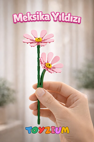 Shem Florist Meksika Yıldızı Yapı Blok Çiçek Seti (75 Parça) - Cosmos Bipinna...