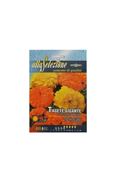 Alta Giant Marigold Mixed Seeds