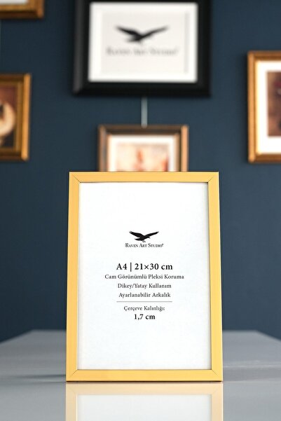 Raven Art Studio Ermitaj A4 Μέγεθος 21cm x 30cm Inox Gold Φωτογραφία Έγγραφο ...