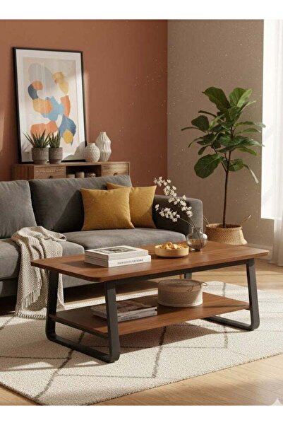 Taimi 2-Tier Wooden Coffee Table with Metal Legs,Modern Design for Living Roo...