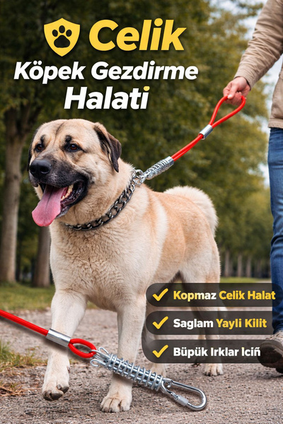 PADRİ Çelik yaylı Köpek gezdirme bağlama halatı 2 metre