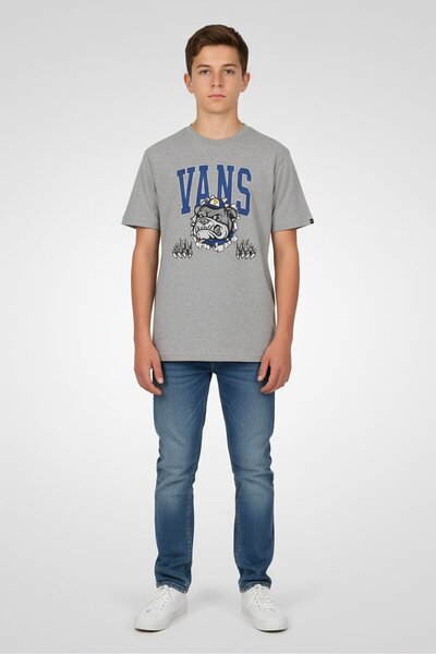 Vans Kids Boy Graphic Print Short Sleeve T-Shirt, Grey