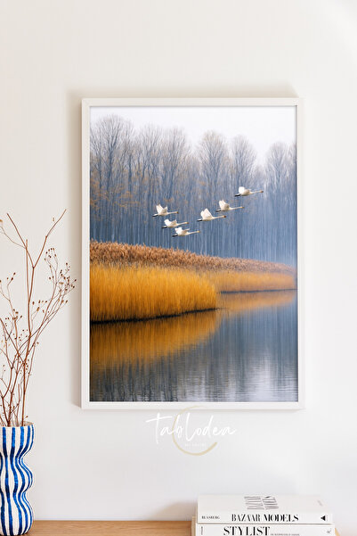 tablodea Swans Flying in a Reeds Nature Scenery Themed Framed Poster Td Oil P...