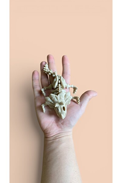 3D Ekspres Eklemli Triceratops Dinozor Figürü Fidget Toy 16 x 5 Cm
