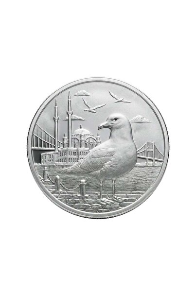 aga kulche AgaKulche İstanbul Martısı Gümüş Madalyon