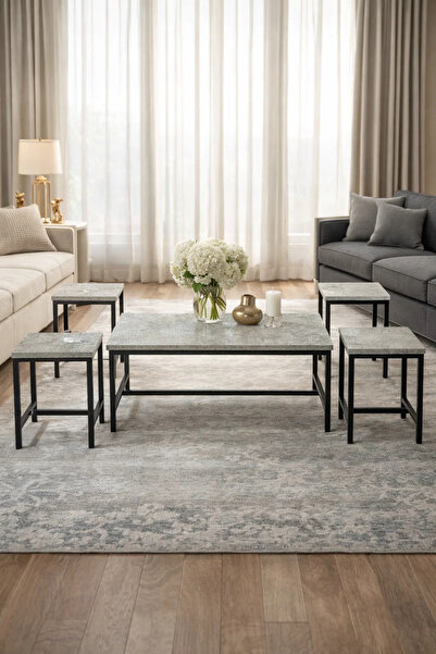 MARIA HOMES Grey 5-Piece Nesting Coffee Table Set Industrial Metal Frame for ...