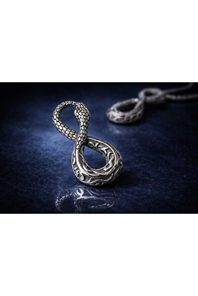 voyageaccessory Stainless Steel Gothic Snake Infinity Necklace