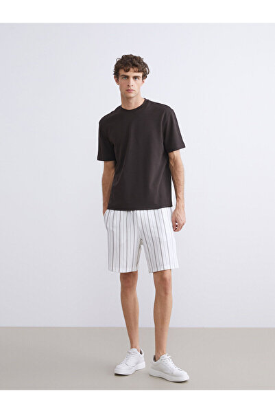 LC Waikiki Vizyon New Season Standard Fit Striped Men's Shorts