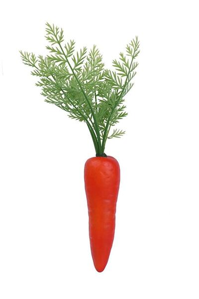 Raki Planner, Morcov decorativ figurina