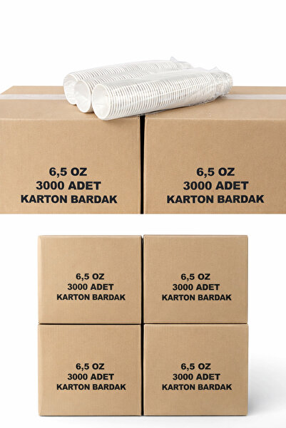 TEYMENLER GROSS KARTON BARDAK 3000 Adet (1 Koli) – Beyaz Tek Kullanımlık – To...
