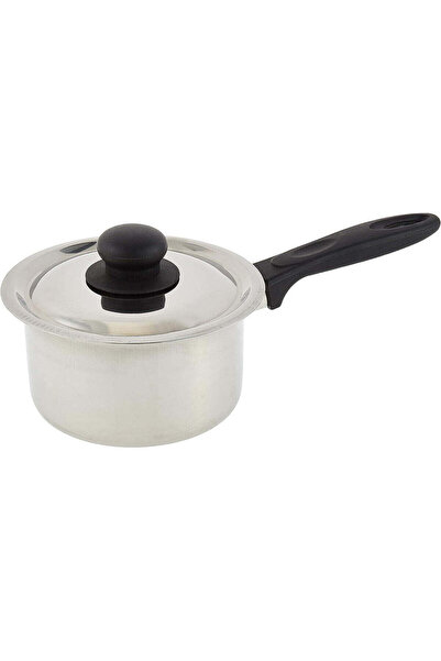 RAJ Stainless Steel Saucepan with Lid, Silver GSSSP 2
